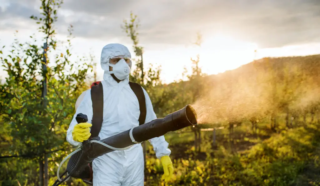 pesticide control