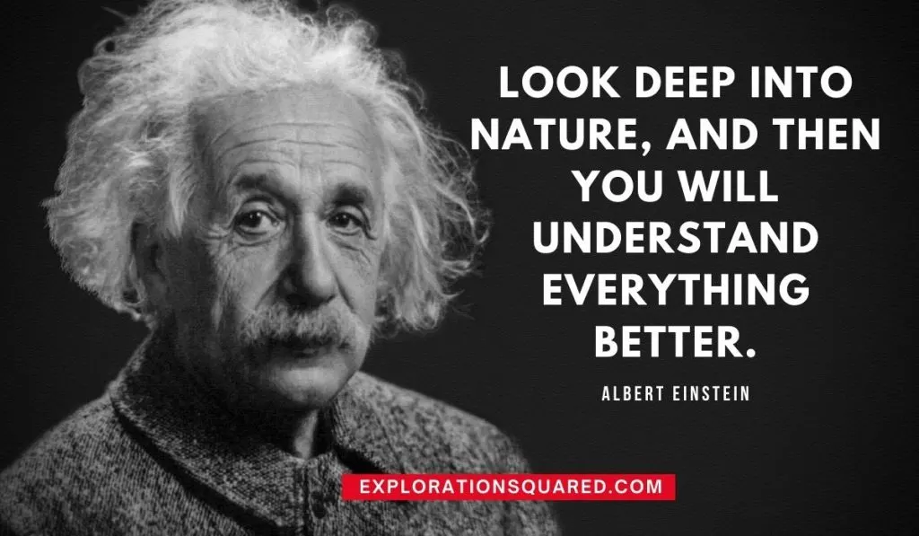 Look deep into nature, and then you will understand everything better - Quotes