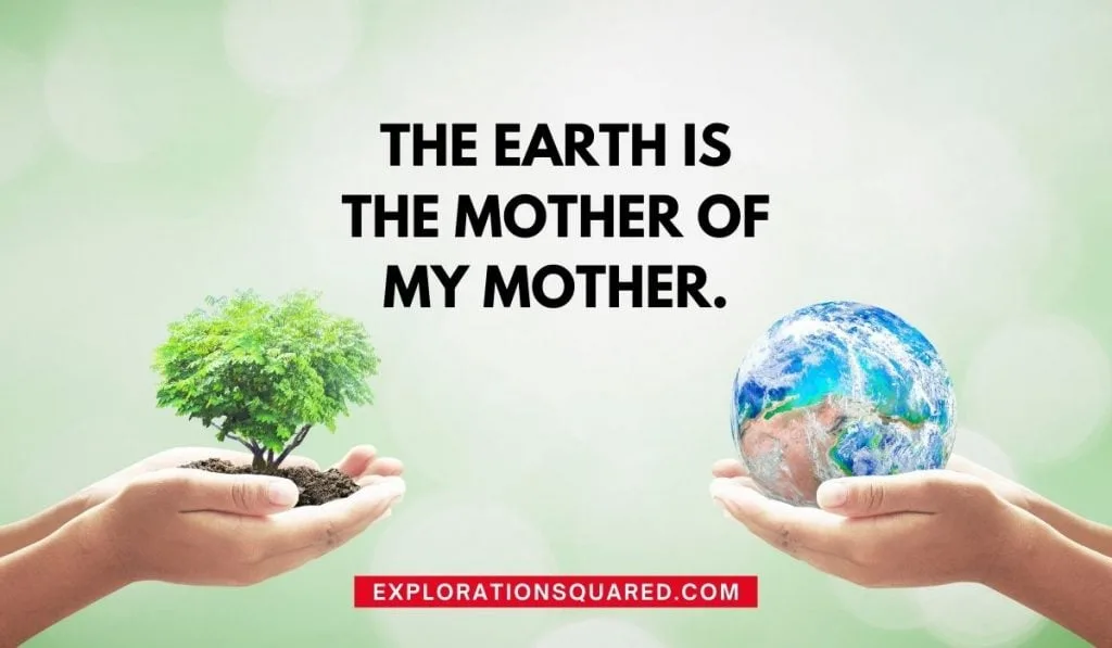 The Earth is the mother of my mother - Quotes