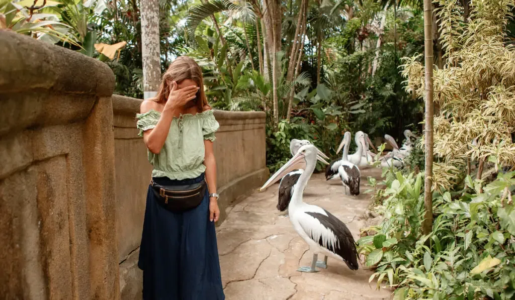 a woman covering her face near a pelican