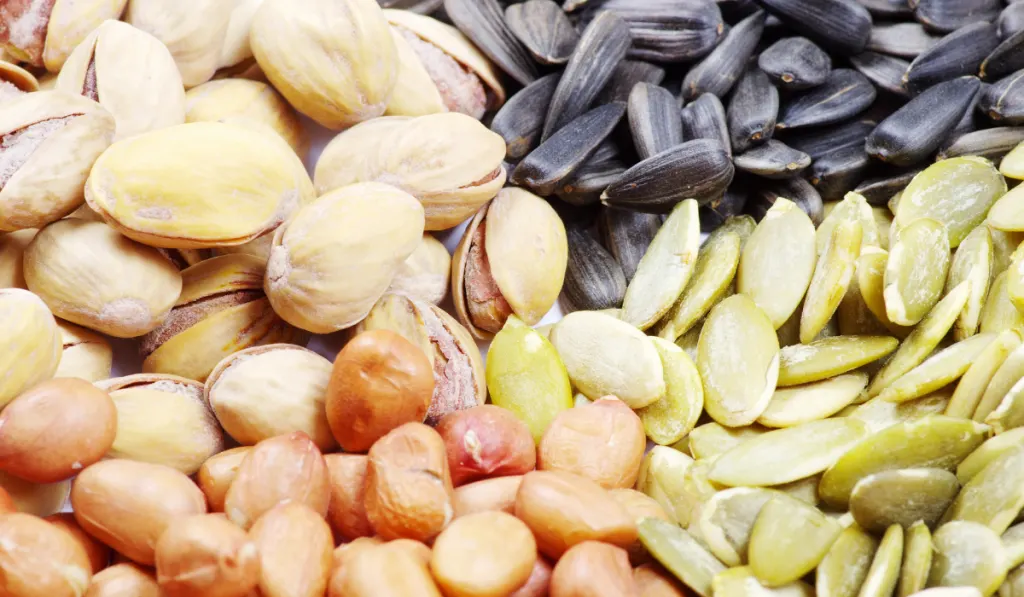 Different kinds of seeds and nuts
