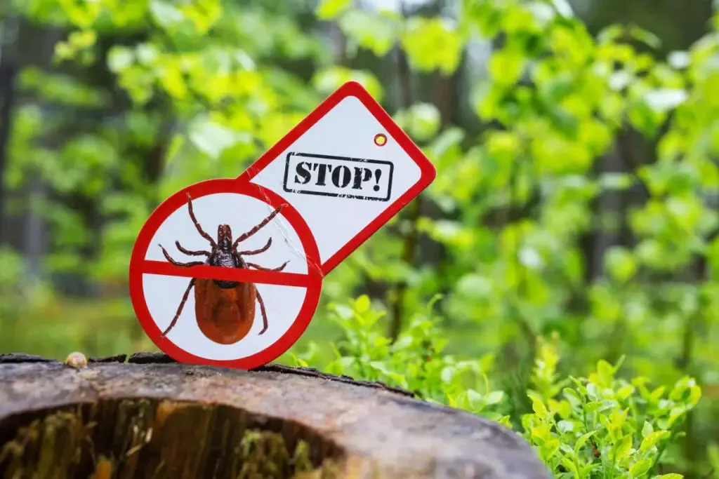 stop bug sign outdoor