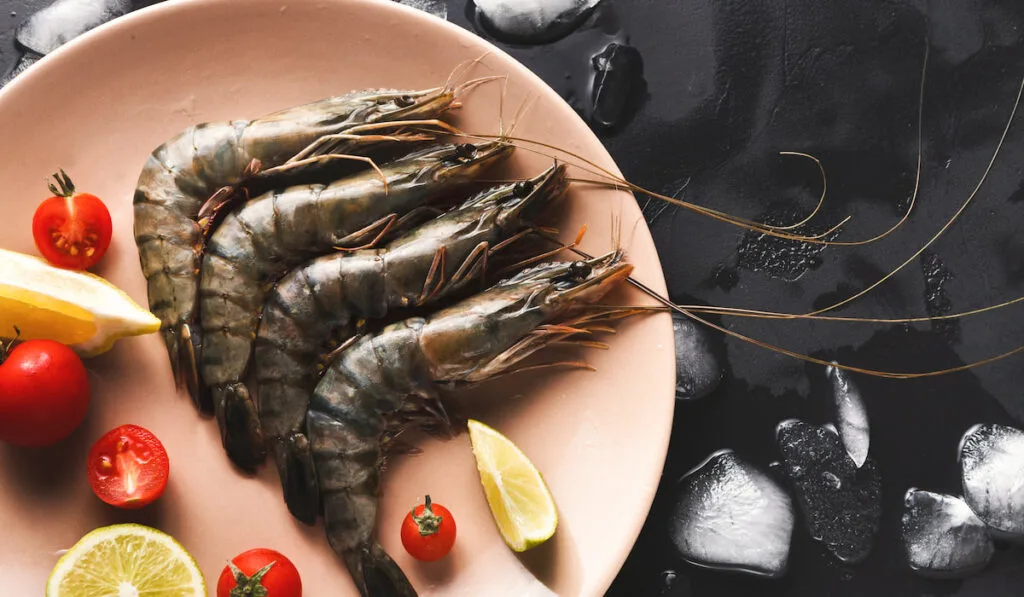 Raw shrimps with lemon and tomatoes on a plate