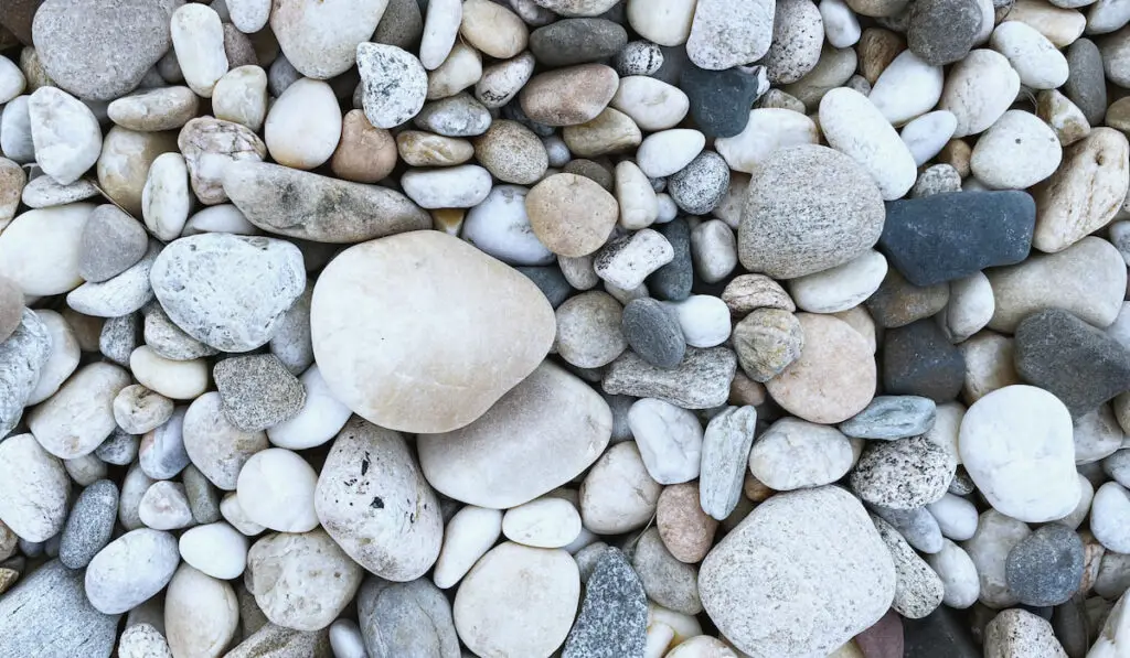 beach rocks different sizes