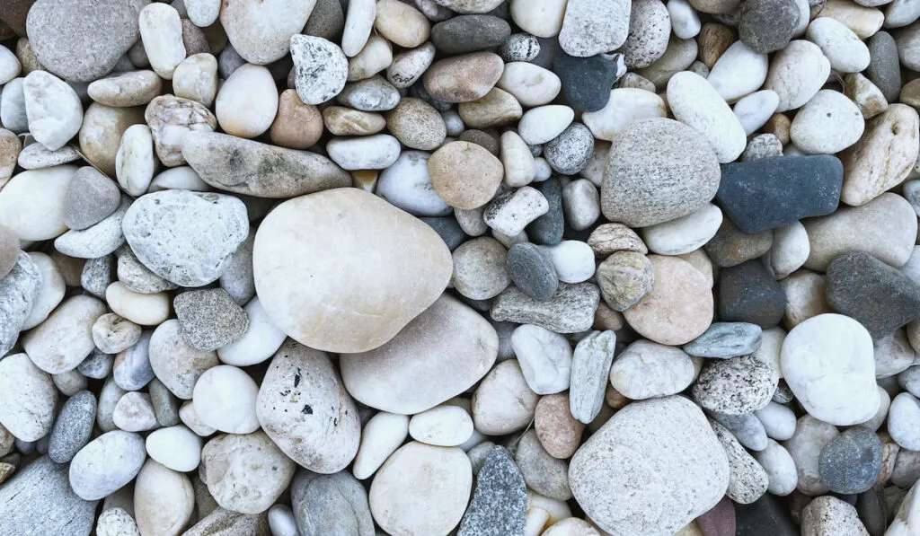 beach rocks different sizes 