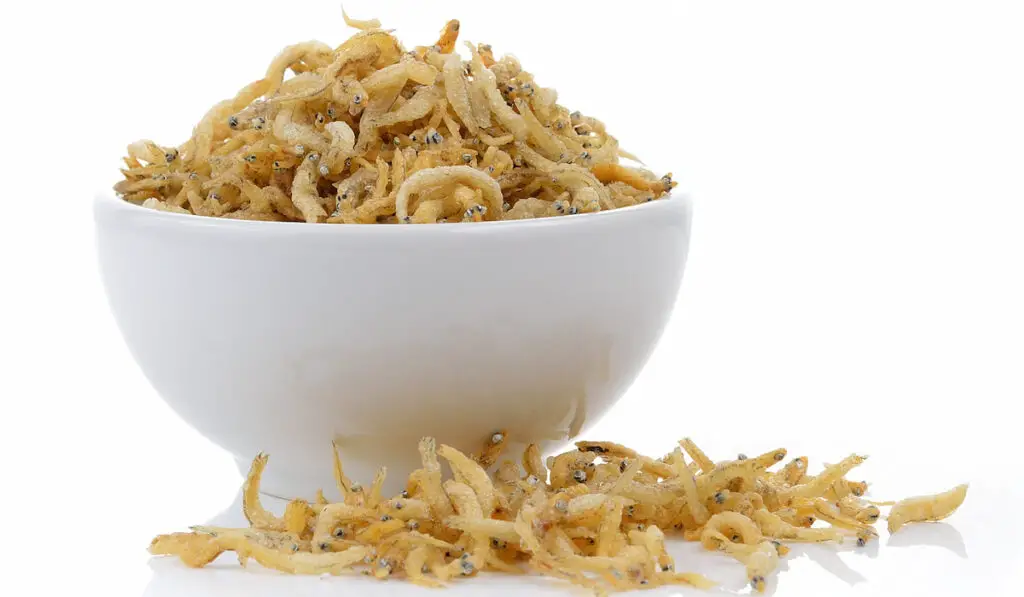 small fried krills in white bowl