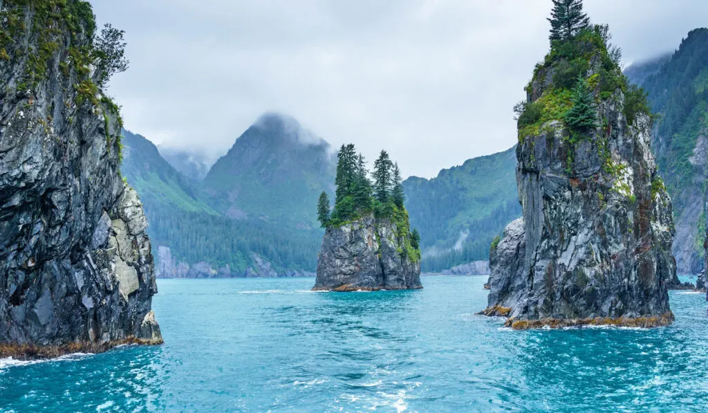 Blue waters and tree covered rocks jutting out of water on a cloudy morning at Kenai Fjords National Park, Alaska -