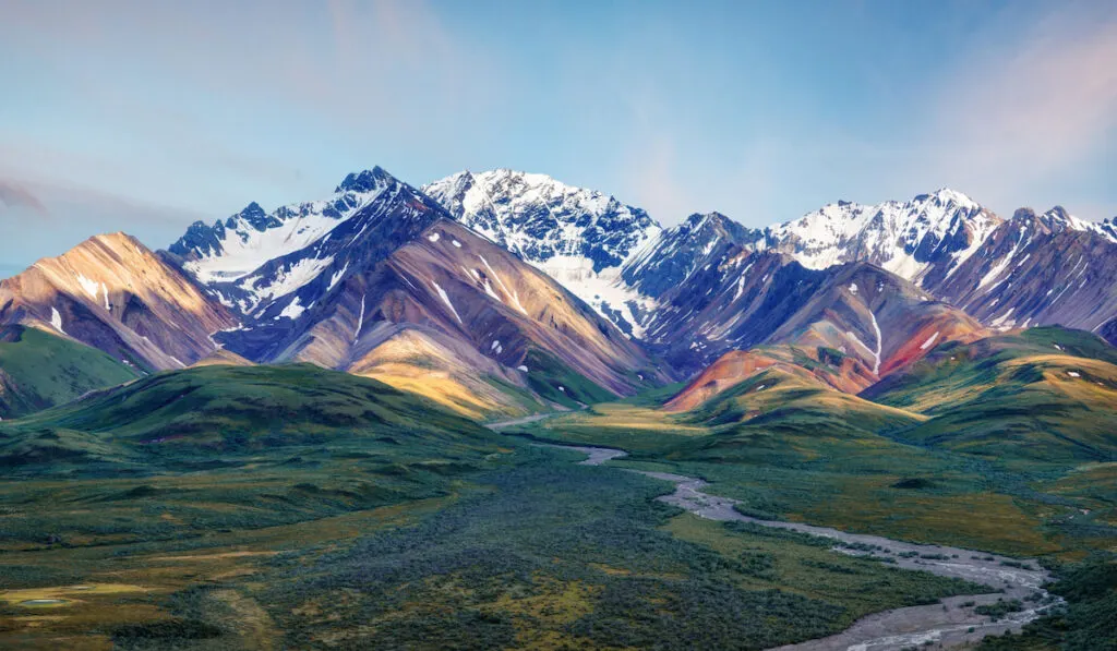 Denali National Park Alaska 