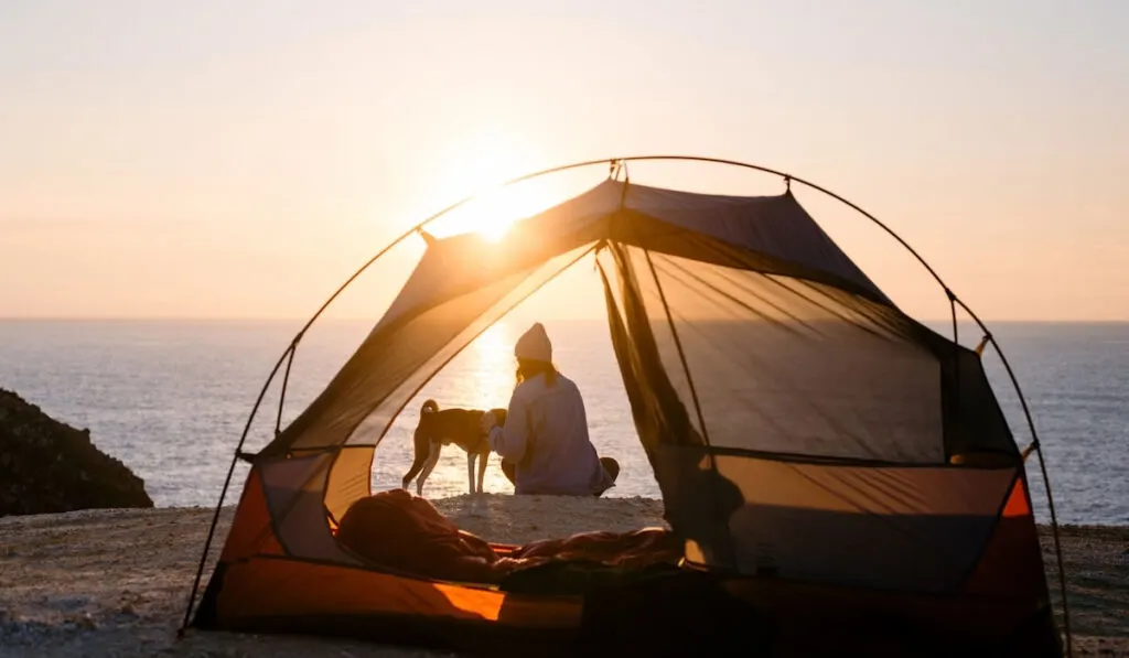 Sunset time, Woman and her pet dog sit at beach next to tent 