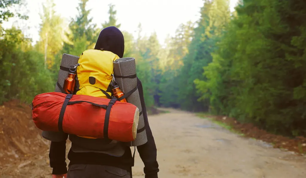 A man with a backpack in the forest