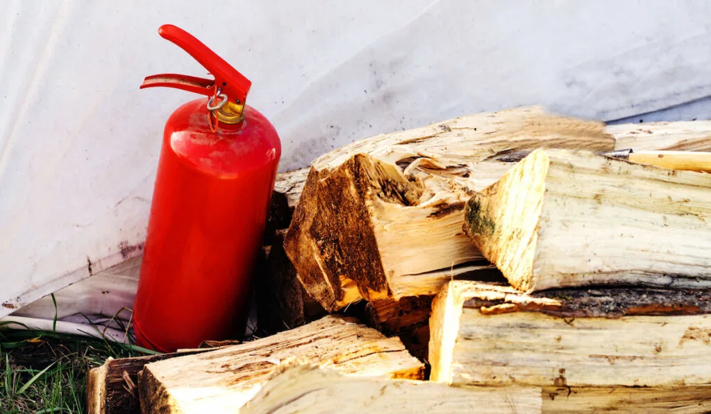 A portable fire extinguisher on the background of firewood 