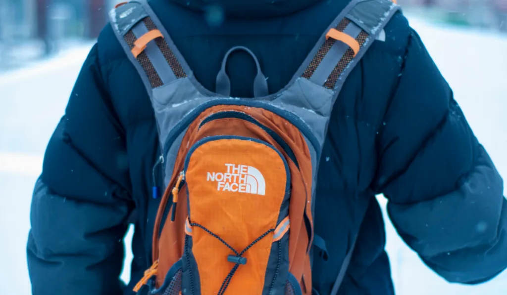 Backpack the north face, close-up.