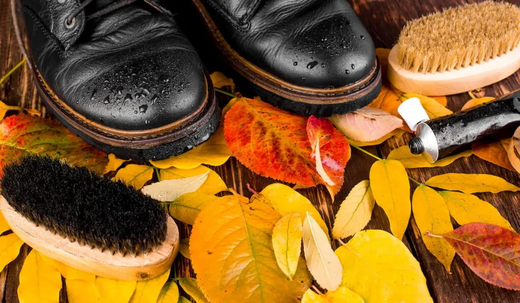 Black boots on with autumn leaves with polishing equipment, brush and polish cream