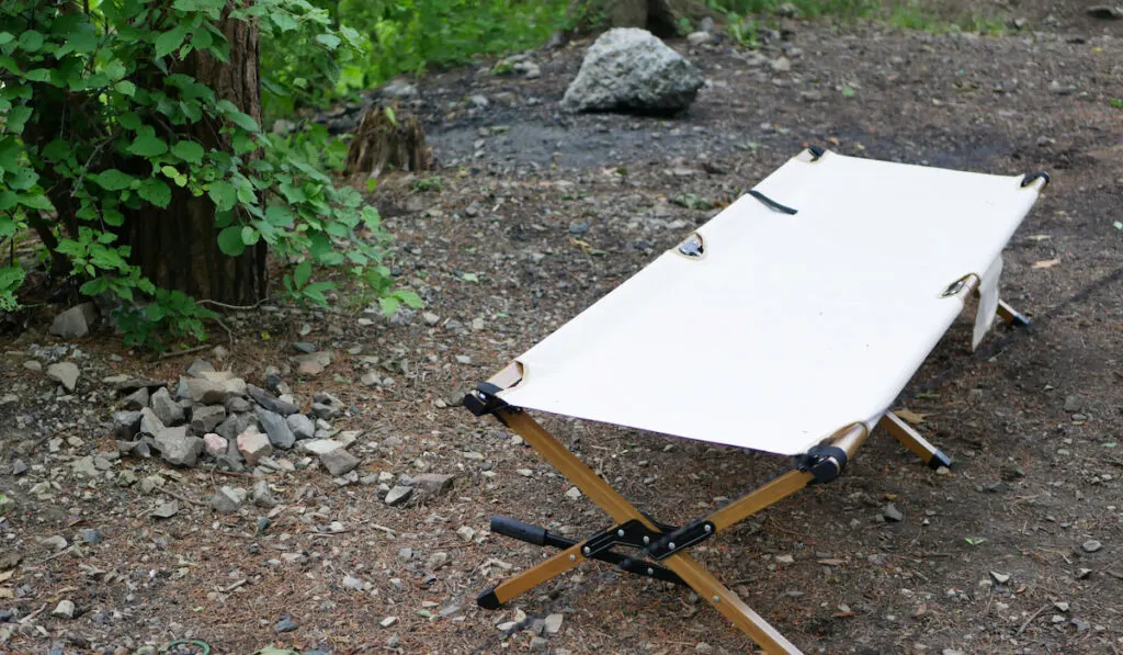 Camp cot placed in a forest campsite 