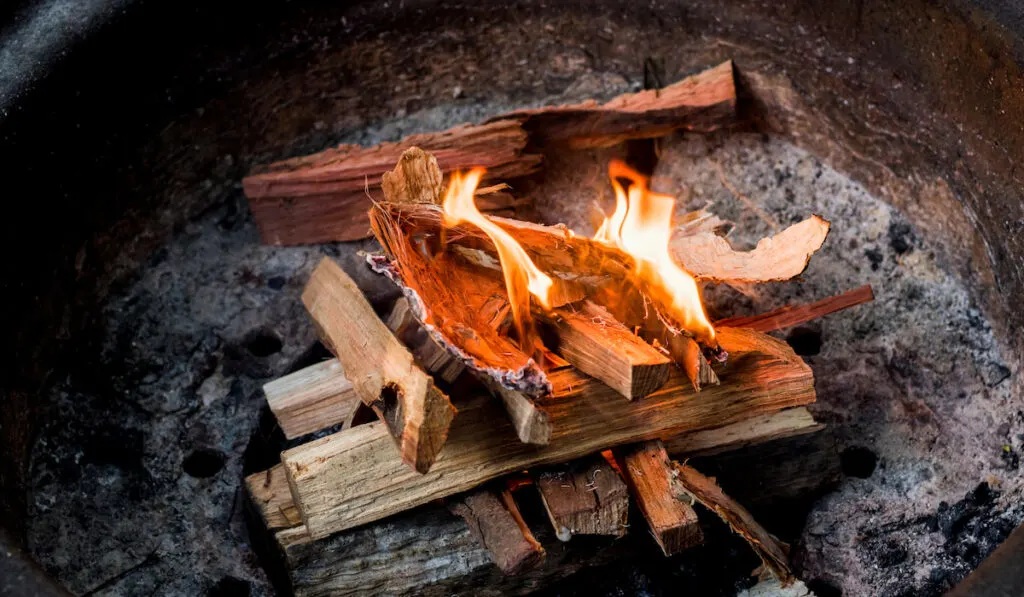 Campfire in a fire pit