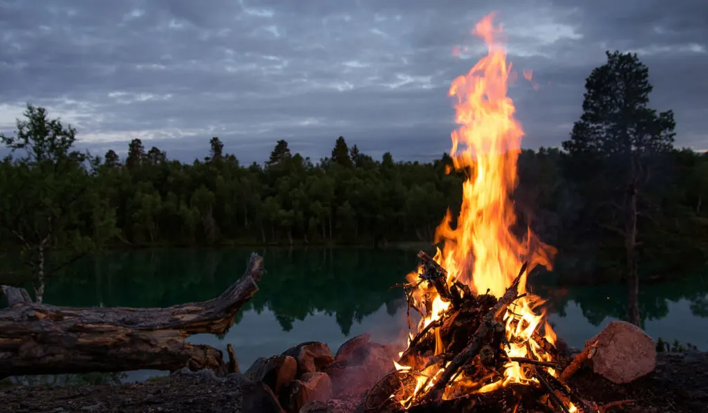 Campfire in a warm summer night 