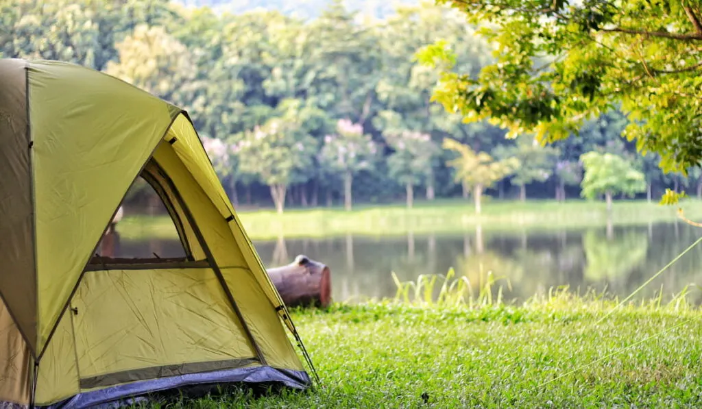 Camping green tent in forest near lake