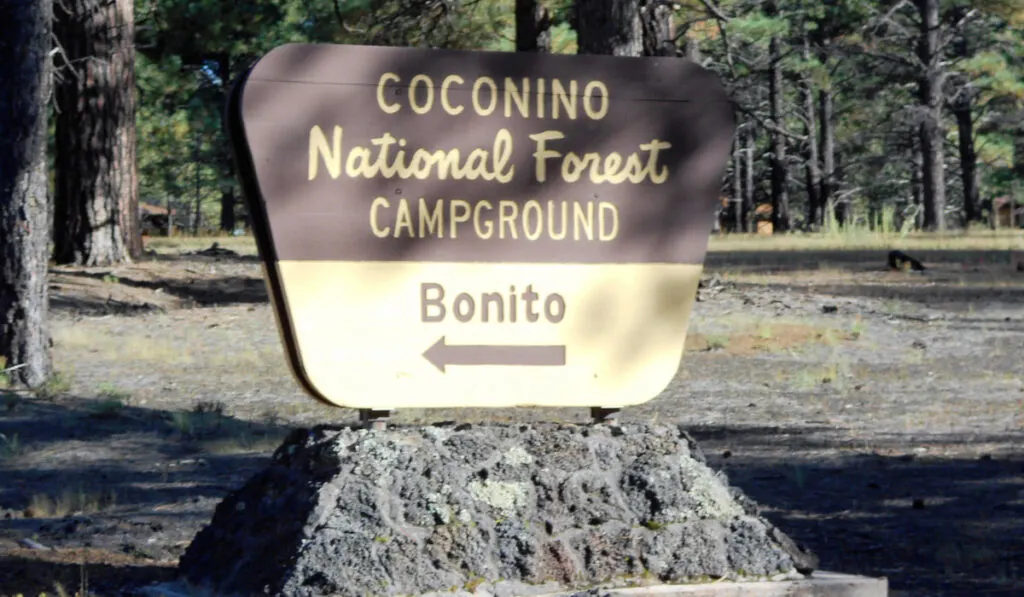 Coconino National Forest welcome sign, Benito campground, Flagstaff, Arizona