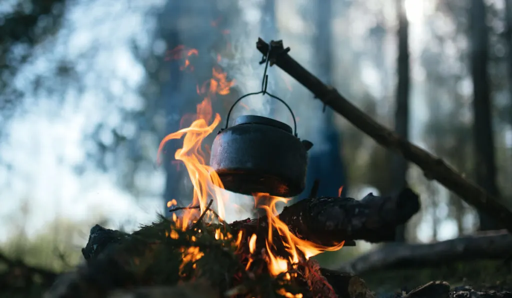 Cooking in a pot over campfire 