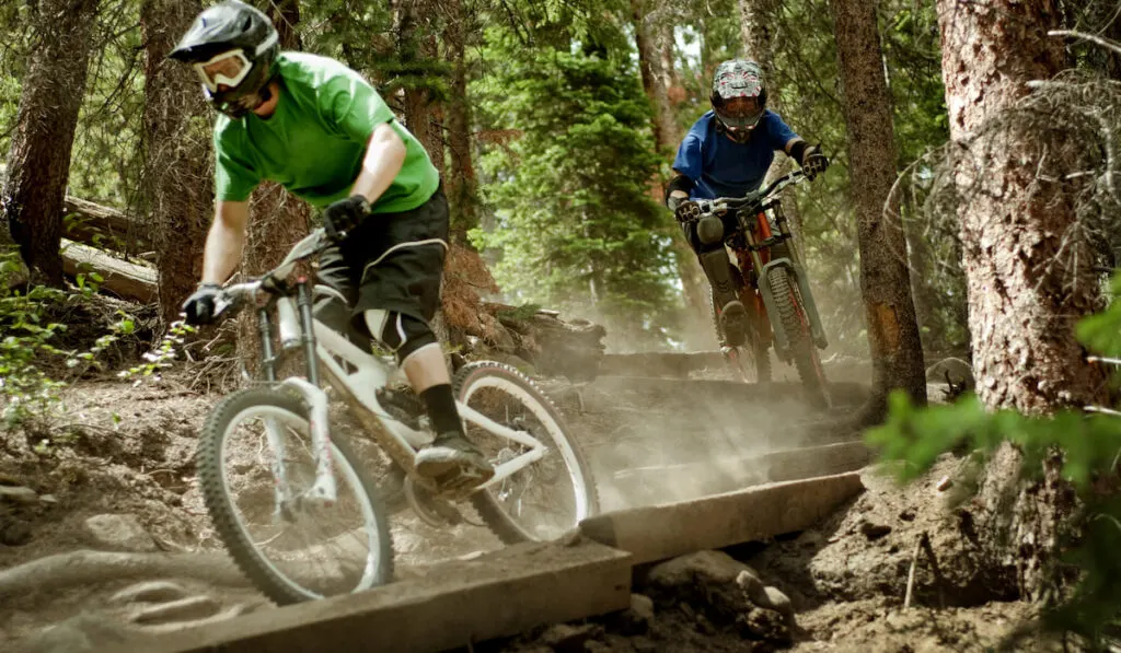 Cyclists Cycling In Forest
