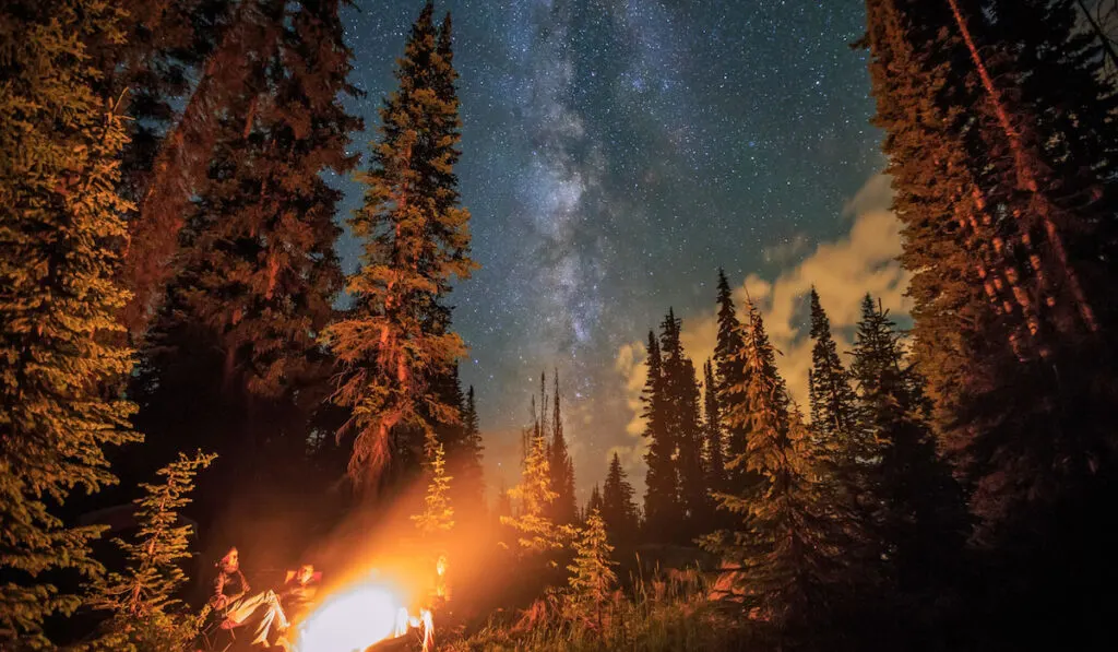 Family stargazing by a campfire, tall trees on background in Colorado Rockies 