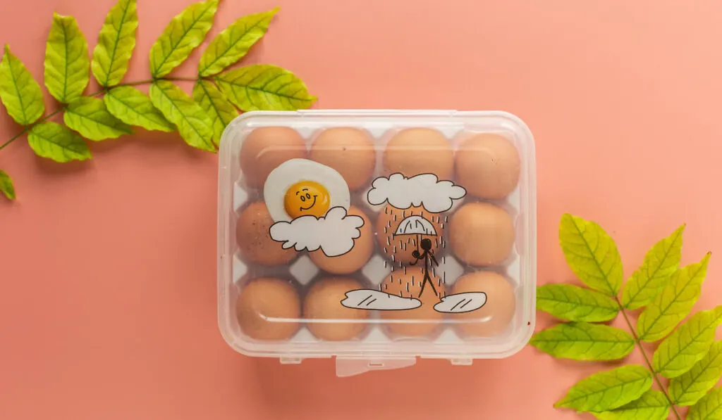 Flat lay of Eggs in a container with leaves on a beige background