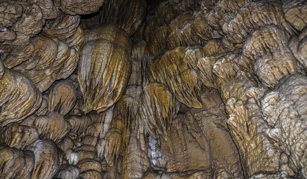Formations on a cave walls at the Oregon National Caves Monument