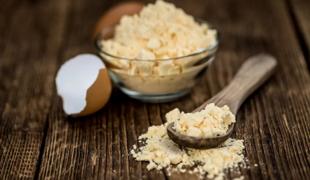 Fresh Whole Powdered Eggs as detailed close-up shot also known as dehydrated egg 