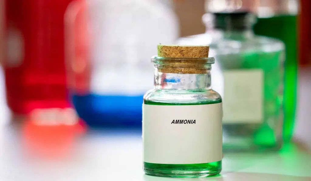 Green liquid Ammonia in a small bottle