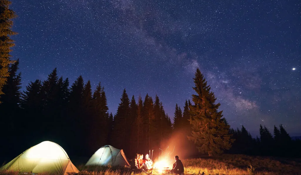 Group of friends campers sitting near campfire and tents, enjoying beautiful night sky 