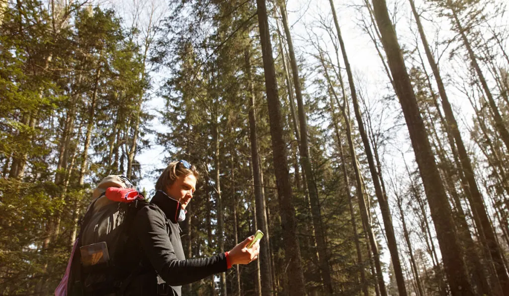 Hiker checking his phone for GPS coordinates, lost in the woods, looking for direction