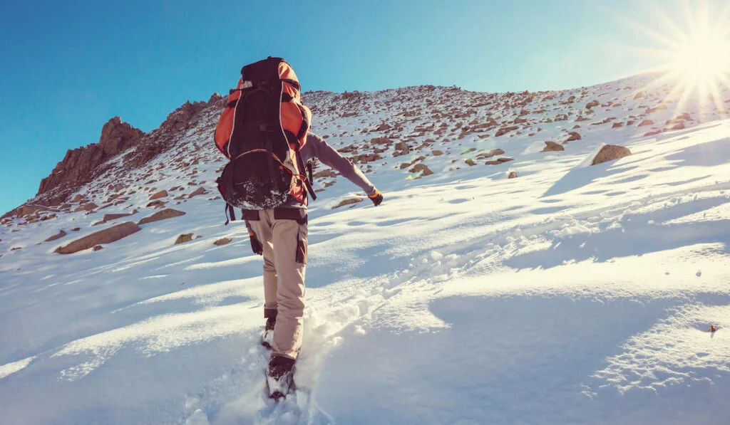 Hikers in the winter mountains

