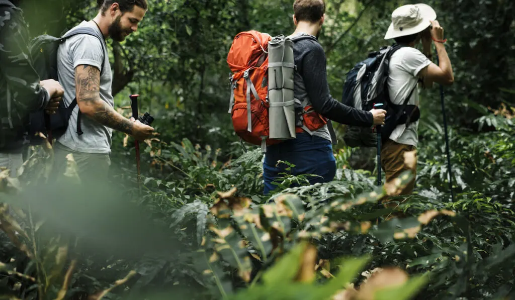 Hikers trekking in a forest together
