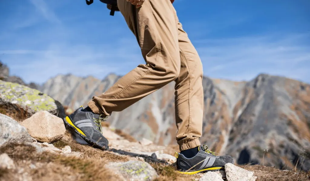 Legs of unrecognizable man hiking in mountains in summer