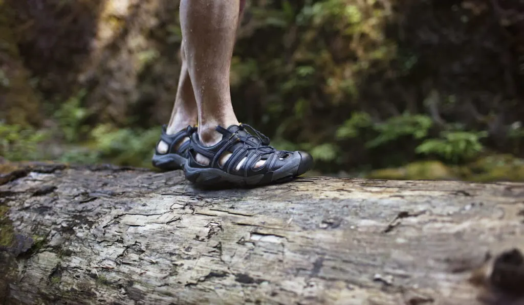 Low Section Of Man wearing sandals and Walking On Log In Forest 
