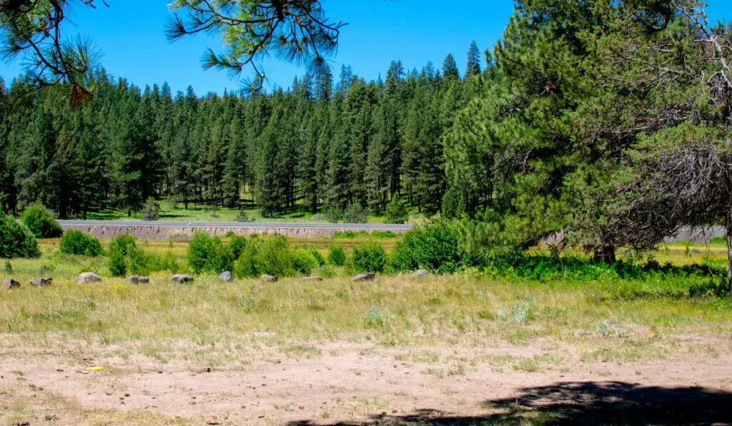Ochoco National Forest, Oregon