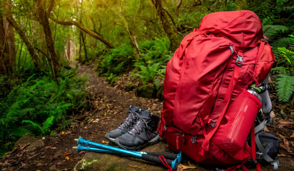 Red backpack and hiking gear set placed on rock in rainforest of Tasmania, Trekking adventure