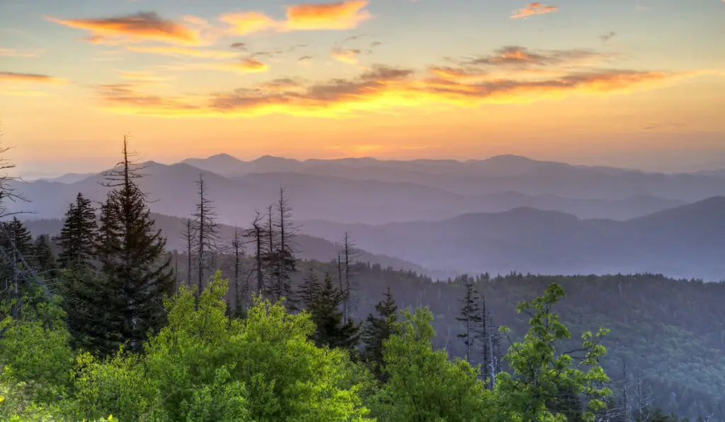 Sunrise in Great Smoky Mountains National Park