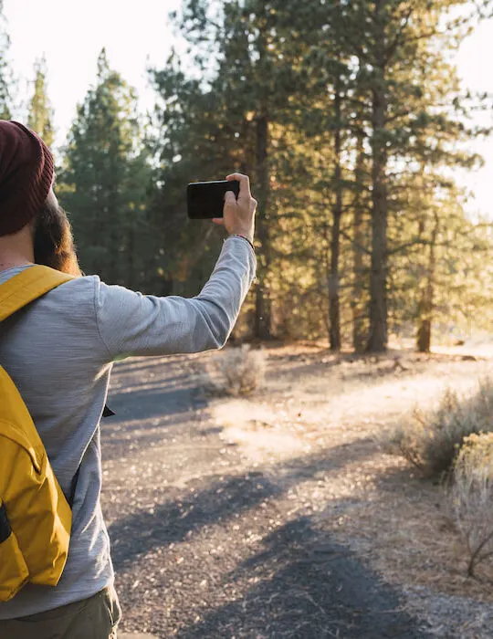 USA, North California, young man taking a selfie in a forest