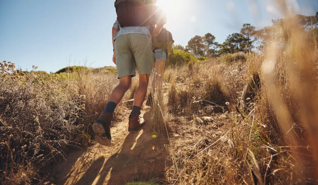 hikers climbing uphill on a mountain