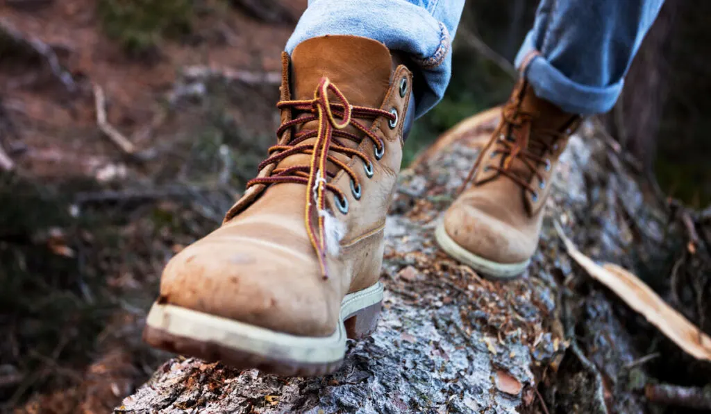 hiking boots close-up. Hiker steps on a log 