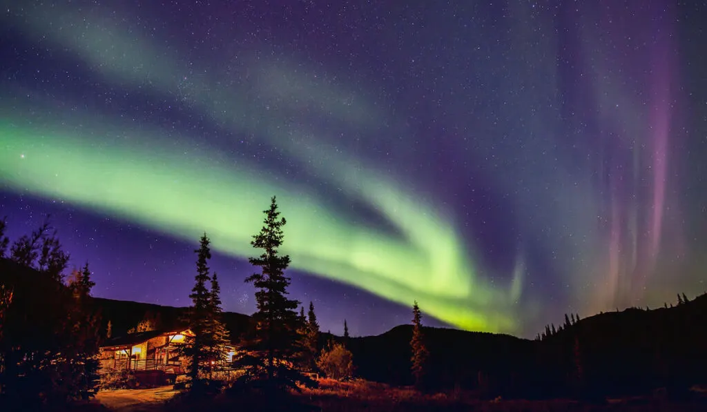 northern lights appear in cloudless, starry night sky over remote lodge in denali national park 