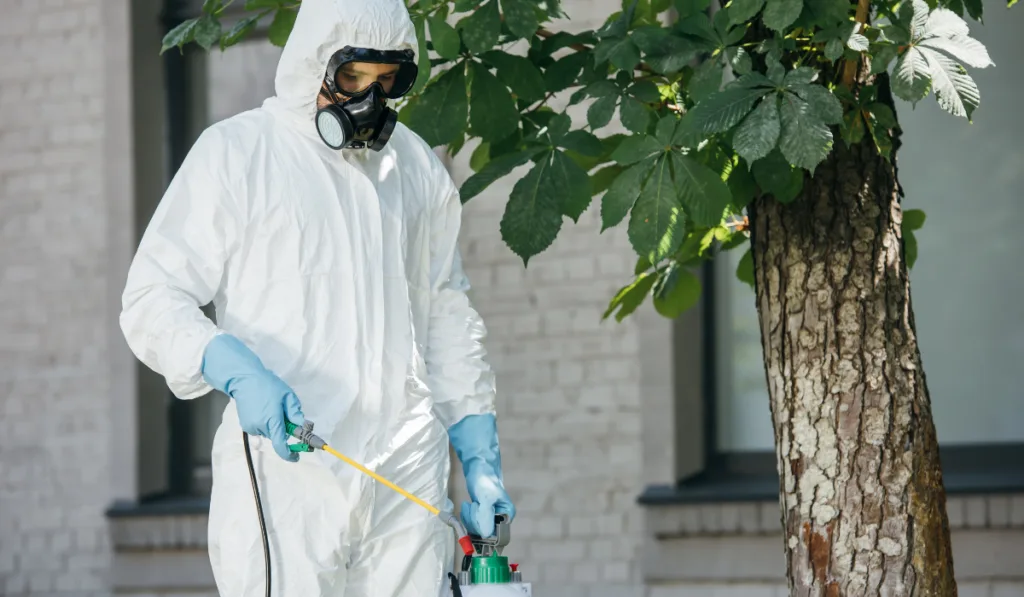 pest control worker spraying pesticides on street