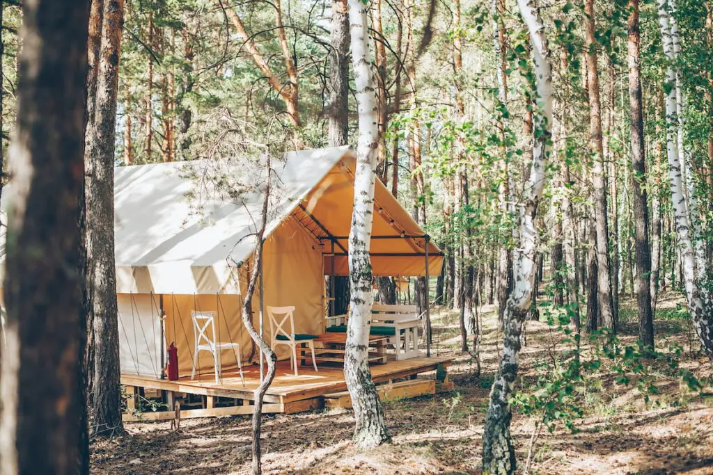 glamping tent in forest