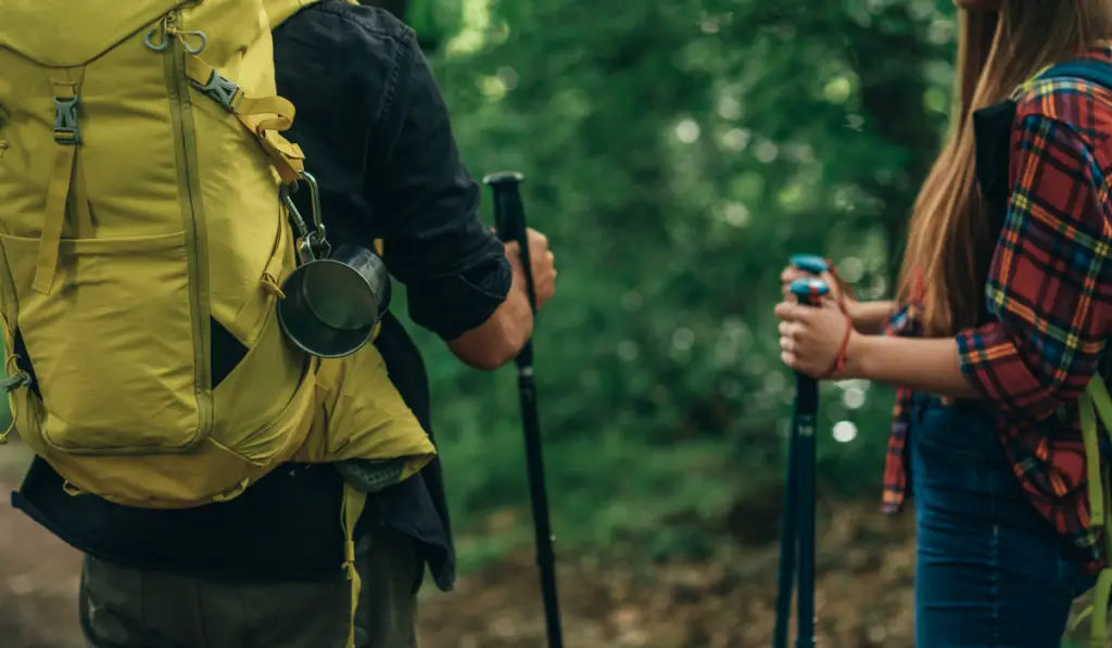 Couple of hikers using trekking poles and wearing backpacks