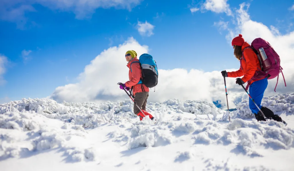 tourists walk in the snow in the mountains during the winter holidays in the mountains, winter in the Ukrainian Carpathians.