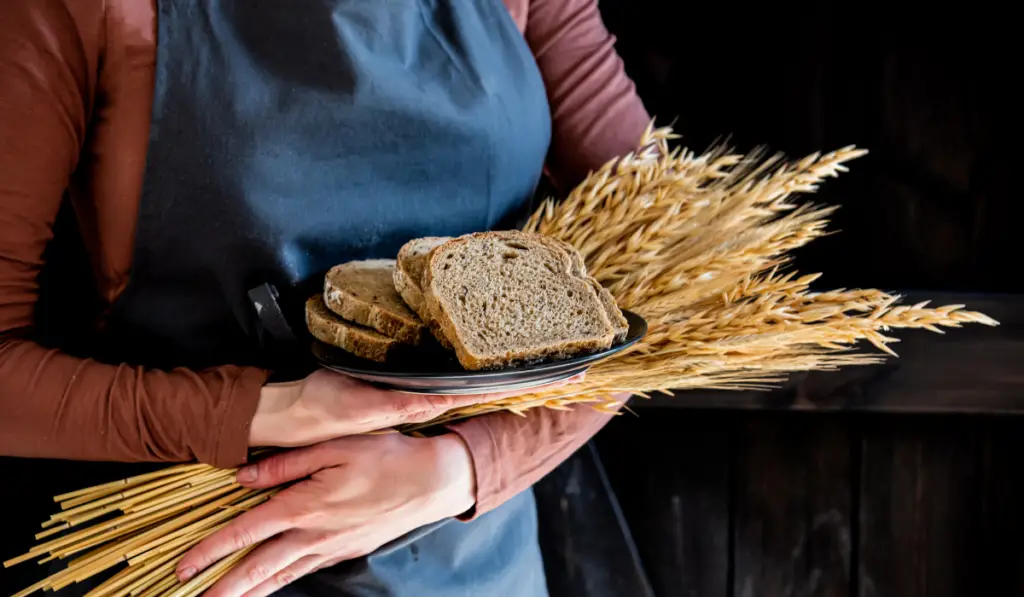 female in apron holds wheat spikelets and bread