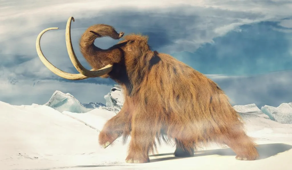 woolly mammoth, prehistoric animal in frozen ice age landscape (3d illustration)
