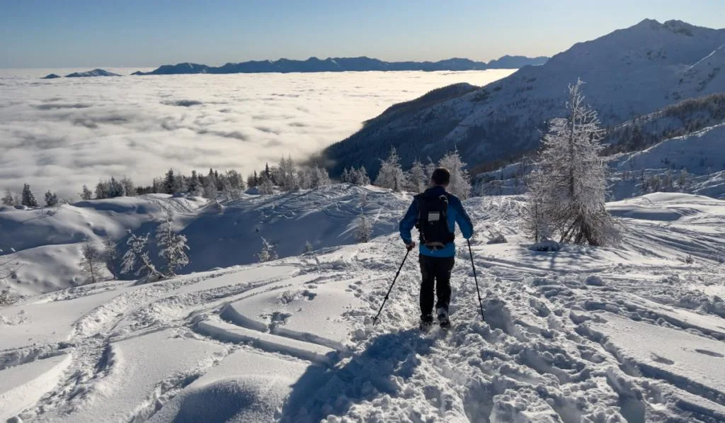 winter hikers climbing uphill trees covered with snow
