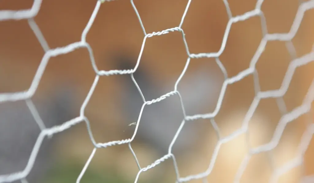 Chicken wire mesh